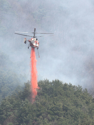 Wildfire in southeastern region
