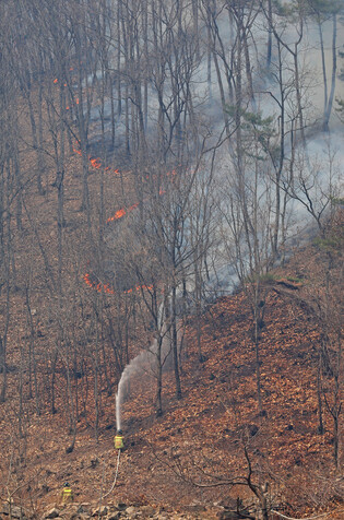 Wildfire in southeastern region