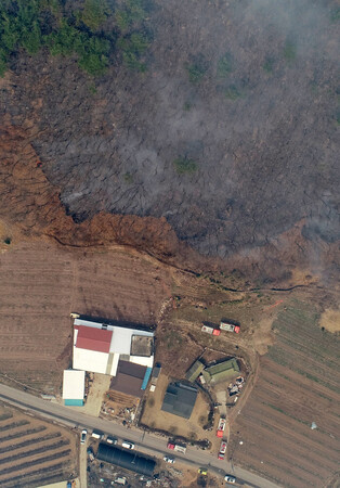 Wildfire in southeastern region