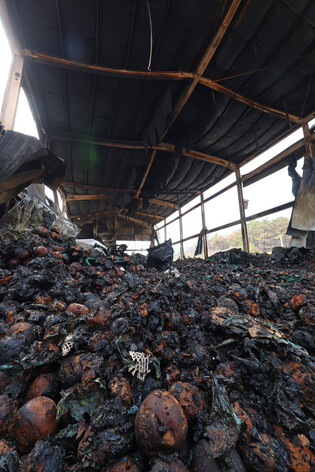 Wildfire in southeastern region