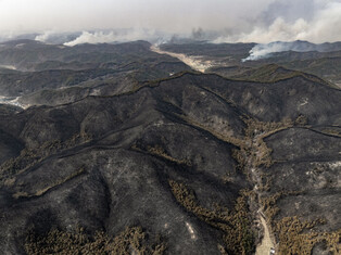 Wildfire in southeastern region