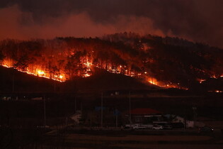 Mountain burning