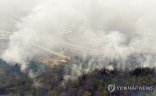 "또다시 불길이" 천년고찰 대전사 위협…승려까지 방어에 사활(종합)