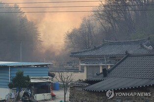 잇단 불길에 고택·측백나무숲도 불에 타…국가유산 피해 15건
