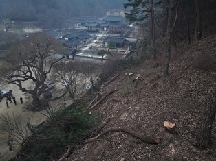 세계유산 도산서원으로 향하는 불길…"화선 멀어도 긴장"