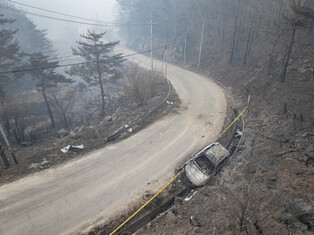 Wildfire in southeastern region