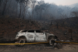 Wildfire in southeastern region