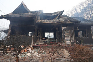 Wildfire in southeastern region