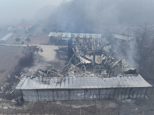 Wildfire in southeastern region