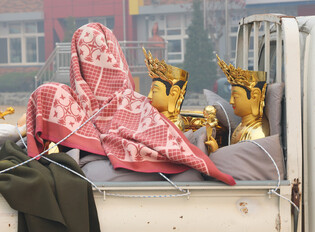 Wildfire in southeastern region