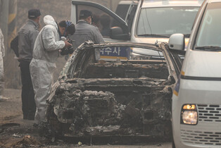 Wildfire in southeastern region