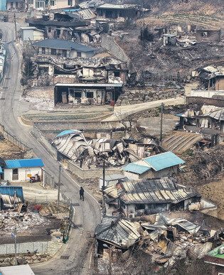 Wildfire in southeastern region