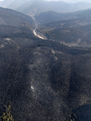 Wildfire in southeastern region