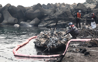 Wildfire in southeastern region
