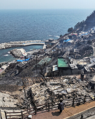 Wildfire in southeastern region