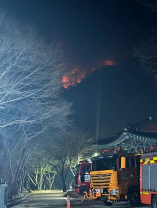 Wildfire in southeastern region