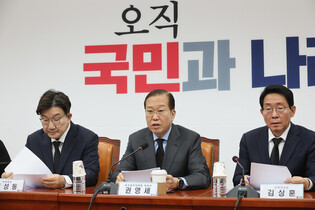 Ruling party's interim leader