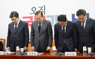 Ruling party's interim leader