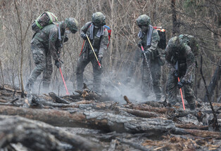 Wildfire in southeastern region