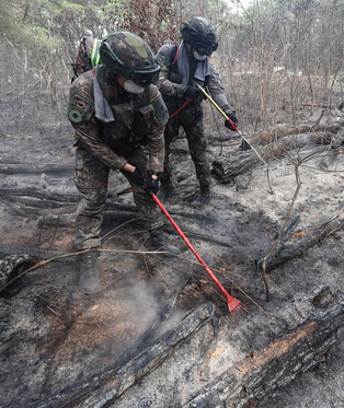Wildfire in southeastern region