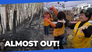 S. Korea close to extinguishing worst-ever wildfire thanks to rain