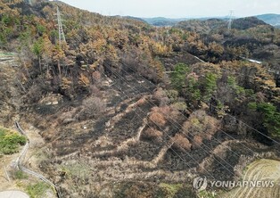 불타고 그을리고…산불에 집안 역사 간직한 건물도 잿더미로(종합)