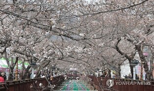 '영남권 산불 여파' 진해군항제, 군 관련 행사도 전면 취소