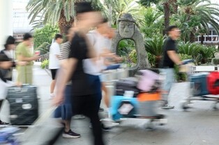 제주기점 항공편 국내 1천558회·국제 196회 주 운항