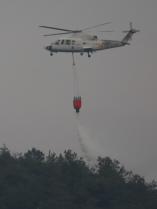 Wildfire in southeastern region