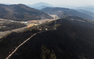 Wildfire in southeastern region