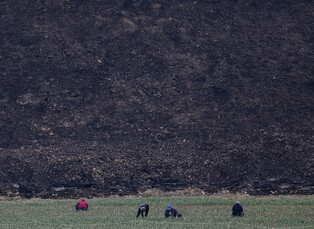 Wildfire in southeastern region