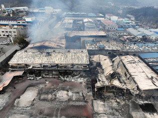 Wildfire in southeastern region