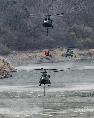 Wildfire in southeastern region