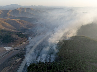 Wildfire in southeastern region