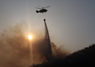 Wildfire in southeastern region