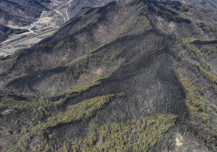 Wildfire in southeastern region