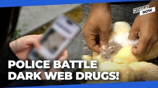 Korea's crackdown to catch young drug-dealers online