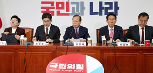 Ruling party's interim leader