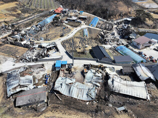 Aftermath of wildfire