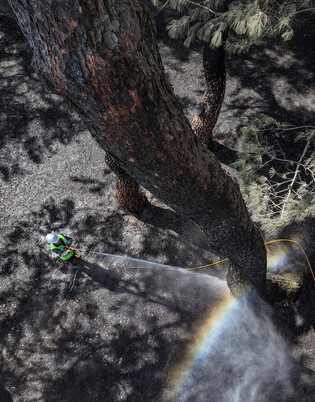 Aftermath of wildfire