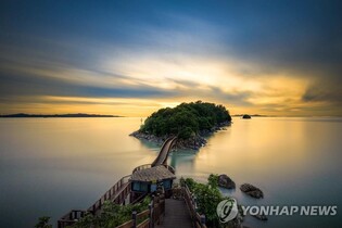 '수도권 1일 여행지로 제격'…안산시티투어 운영 시작