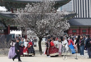 尹탄핵심판 선고일에 궁궐 문 닫는다…"경복궁·창덕궁·덕수궁 휴궁"