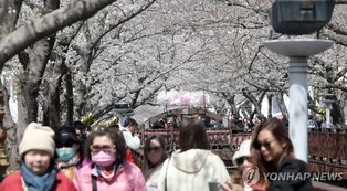 봄철 축제시즌 바가지요금 근절…경남도, 민관합동점검반 가동