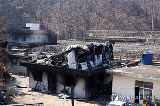 "산불 사망자 애도, 복구지원"…포항시, 4월 축제·행사 연기