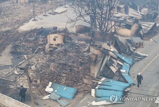 Death toll from wildfires rises to 31