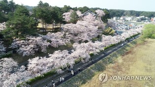 '산불 피해 애도'…강원 동해안 봄 축제 잇따라 축소