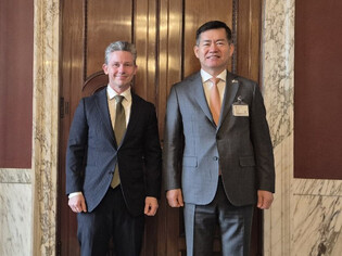 Arms agency head meets Sweden's defense chief