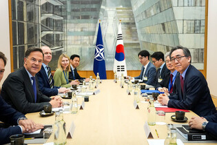 S. Korean FM meets NATO head