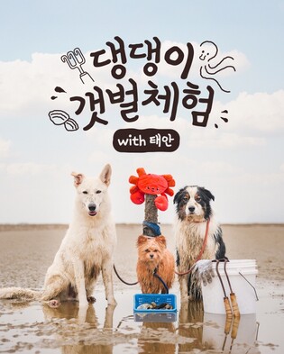 반려동물과 함께 태안서 갯벌체험…5월까지 200팀 대상