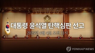 [이런말저런글] 대통령 탄핵심판과 요동백시 경계령